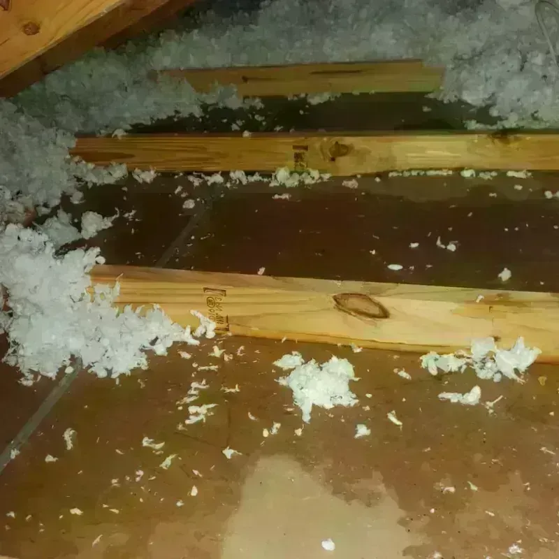 Attic Water Damage in Narberth, PA